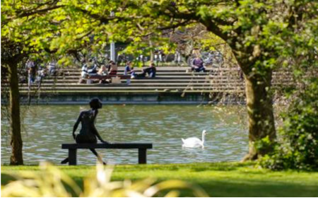 UCD lake